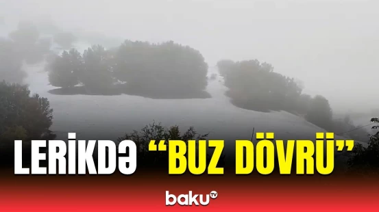 Güclü qar yağdı | Lerikdən bəmbəyaz mənzərə