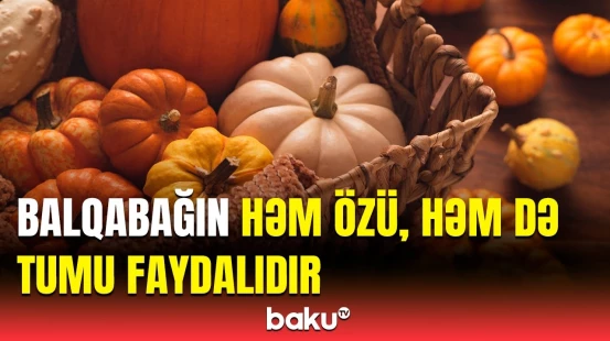 Balqabaq insan orqanizminə necə təsir edir ? | Gənc qalmaq istəyirsinizsə…