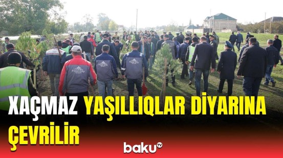 Xaçmazda iqlim dəyişikliyi ilə mübarizəyə töhfə | Minlərlə ağac əkildi