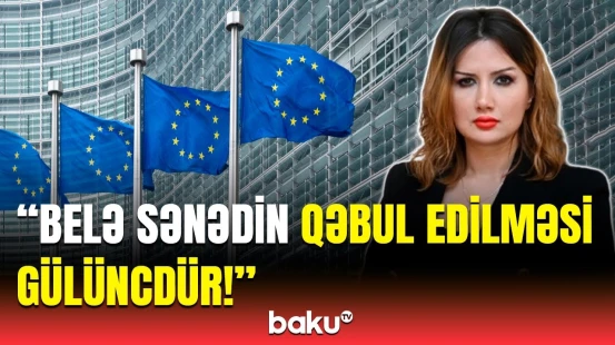 Azərbaycana qarşı qarayaxma kampaniyası | AP-nin qətnaməsinə QAİ-dən reaksiya