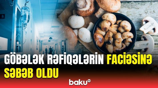 Xaçmazda göbələkdən zəhərlənən qadınlarla bağlı TƏBİB-dən təcili açıqlama