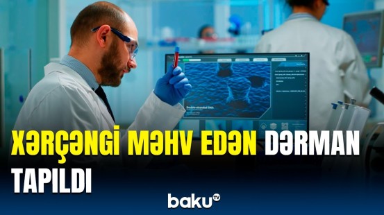 Prostat xərçənginə qarşı effektiv vasitə | Testlərin nəticəsi heyrətə gətirdi