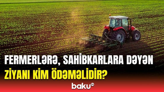 Azərbaycandan göndərilən məhsullar Rusiya sərhədində niyə saxlanılıb?