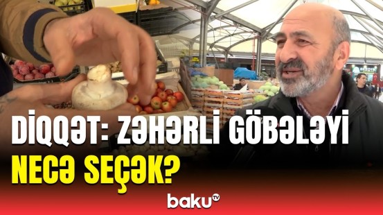 Göbələk alarkən mütləq bunlara fikir verin | Satıcılardan alıcılara çağırış