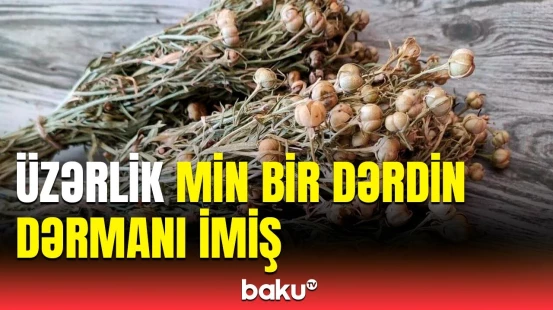 Yandırıb suyunu içsəniz... | Üzərlik hansı xəstəliklərə çarədir?