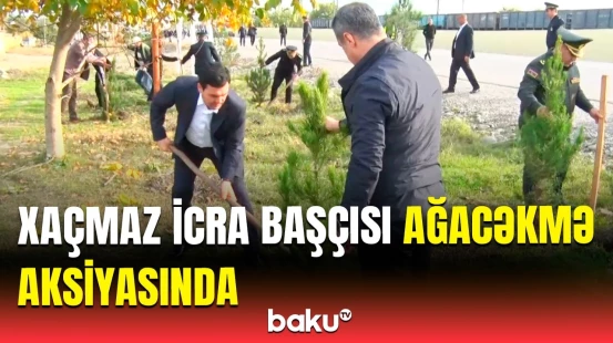 Xaçmazın bu kəndində minə yaxın ağac əkildi | Aksiyadan görüntülər