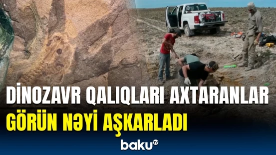 161 milyon əvvəl yaşamış bu canlı hansıdır? - Alimləri heyrətə gətirən tapıntı