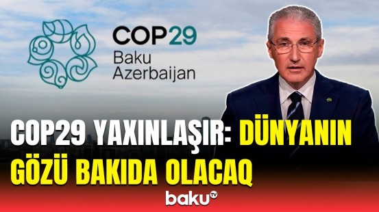 COP29-a sayılı günlər qaldı | Bakının ev sahibliyi edəcəyi COP29 nədir?