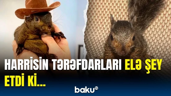 Harrisin tərəfdarlarına qarşı sərt tənqid | Mask məsələyə qarışdı