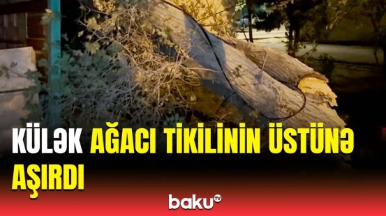 Sumqayıtda güclü külək fəsadlar törətdi