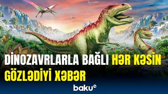 Alimlər dinozavrlarla bağlı yeni fakt ortaya çıxardı | Araşdırmanın detalları