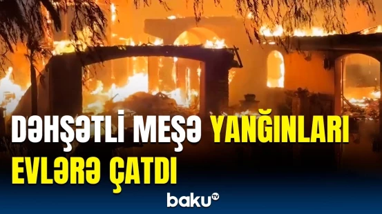 Bu ölkədə meşələr külə döndü | Hadisə yerindən ən son görüntülər