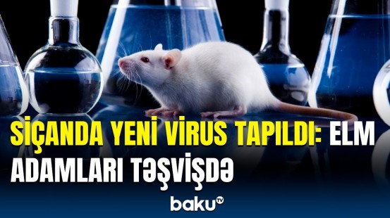 İnsanlar ağır xəstəliyə tutulacaq? - Yeni aşkarlanan virus barədə xəbərdarlıq