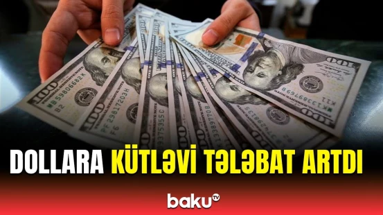Dollara tələbatın kəskin artmasının səbəbi | İqtisadçı açıqladı