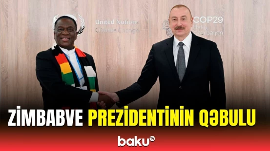 İlham Əliyev Zimbabve Prezidenti Emmerson Dambudzo Mnanqaqva ilə görüşüb