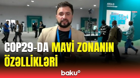 COP29-da medianın işi necə təşkil olunur? | Məlumatlar belə çatdırılır