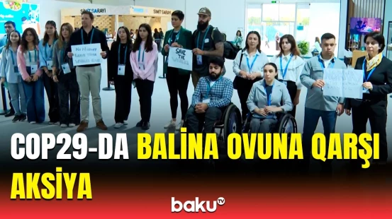 Dəniz mədənçiliyi ilə bağlı hansı problemlər var? | Ekoaktivist Bakıda çağırış etdi