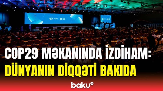 COP29-un üçüncü günündə nələr müzakirə olunur?