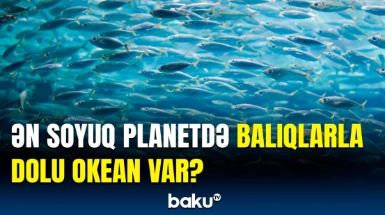 40 il əvvəlki araşdırmaların nəticəsi üzə çıxdı | Uranla bağlı yenilik