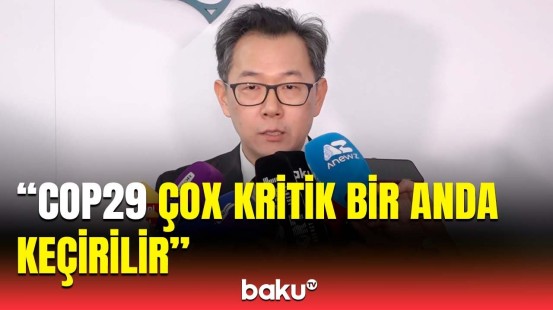 Neçə QHT nümayəndəsi COP29-la bağlı Azərbaycana gəlib? - Aygün Əliyevadan açıqlama