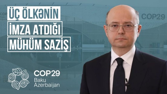 Əcnəbi iştirakçıların COP29-la bağlı təəssüratları | Ən önəmli ekoloji məsələlər diqqət mərkəzində