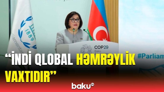 Bu, kritik məqamdır | Sahibə Qafarova COP29-la bağlı çağırış etdi