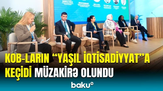 COP29 çərçivəsində “KOB-ların yaşıl iqtisadiyyatda rolu” mövzusunda panel müzakirə