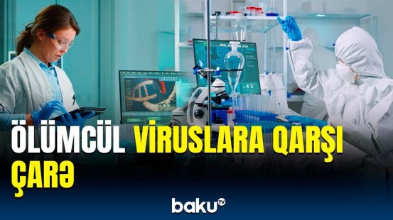 Yaponiya alimlərindən təşəbbüs | Ebola virusu ilə mübarizədə yeni üsul