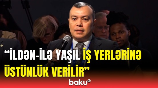 "Yaşıl iş yerləri" və "yaşıl bacarıqlar" üçün yeni tədris proqramları təşkil edilir