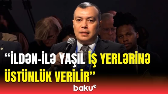 "Yaşıl iş yerləri" və "yaşıl bacarıqlar" üçün yeni tədris proqramları təşkil edilir