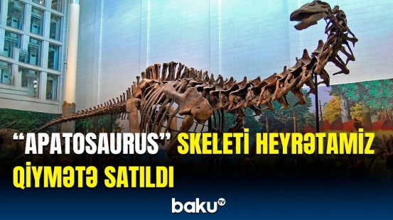 Fransızlar ağac yarpaqları ilə qidalanan ildırım kərtənkələsini neçəyə satdı?