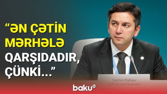 COP29-un baş danışıqçısından Paris razılaşması barədə vacib mesaj