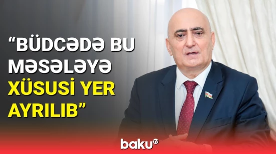 Neft və qazdan asılılıq azalıb | Millət vəkilindən vacib açıqlamalar