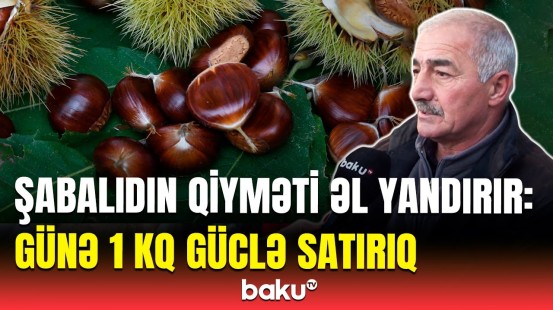 Keçən il 6 manata olan şabalıd bu il... | Bahalaşmanın əsl səbəbi nədir?