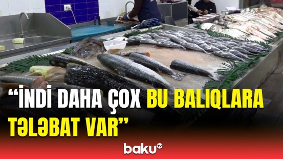 Yerli balıqlar ucuzlaşdı, amma... | Bazarda alıcılar və satıcılarla reportaj