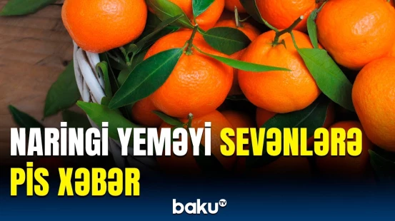 Kimlərə naringi yemək olmaz? | Bu meyvəni elə seçmək lazımdır ki...