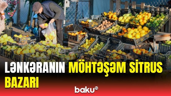 Tonlarla meyvənin satıldığı sitrus bazarından görüntülər | Satıcılar qiymətlərdən danışdı