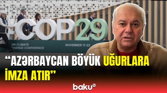 Gürcü ekspertlər COP29-un əhəmiyyətindən danışdı