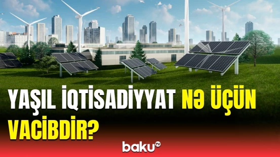Yaşıl enerji barədə yeni istiqamət | Azərbaycanda hansı işlər görülür?