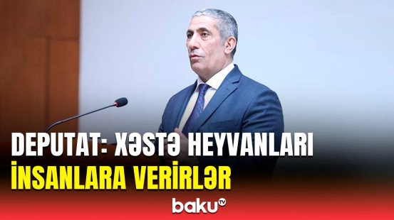 Deputatın iradına nazirdən sərt cavab | Xahiş edirəm ki, araşdırılmamış məlumat verməyin