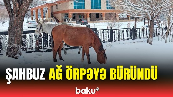 Naxçıvanda gözoxşayan mənzərə | Şahbuzdan ən son görüntülər