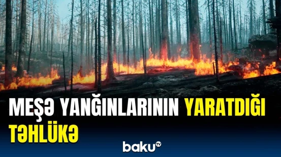 Meşə yanğınlarından hər il bu qədər insan həlak olur