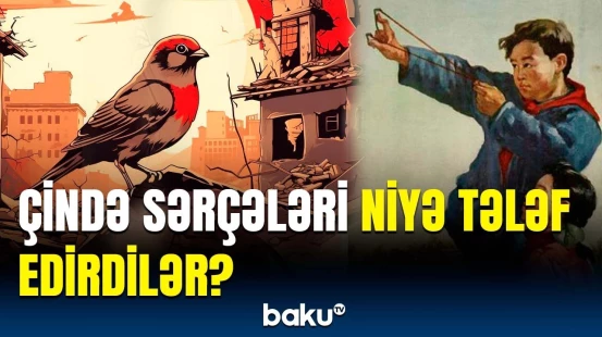 Bu səbəbə görə 30 milyon insan aclığın qurbanı olub