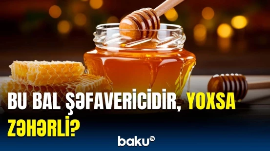 Həkimlərdən bu balın növü ilə bağlı ciddi xəbərdarlıq | Sağlamlığınız üçün riskli olan qida