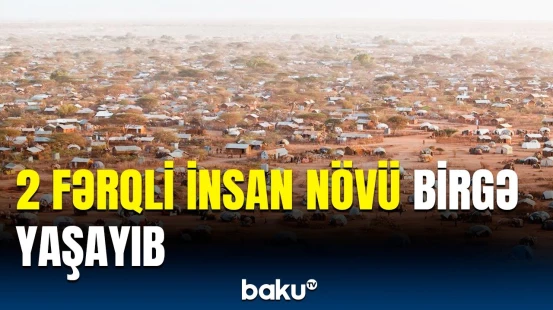 Əcdadlarımızın qəribə qohumluq əlaqələri | 1.5 milyon il əvvəl nələr baş verib?