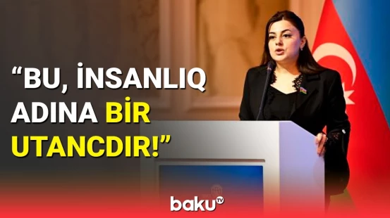 Deputat Pərvanə Vəliyeva Fransa-Niderland müqaviləsinin nəticələrindən danışdı