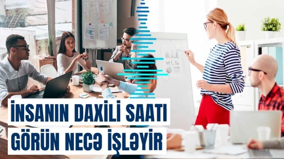 İş qrafikinin necə olması sağlamlıq və psixikamız üçün idealdır?