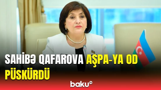 Sahibə Qafarova Azərbaycanın daxili işlərinə müdaxilə edənlərdən danışdı