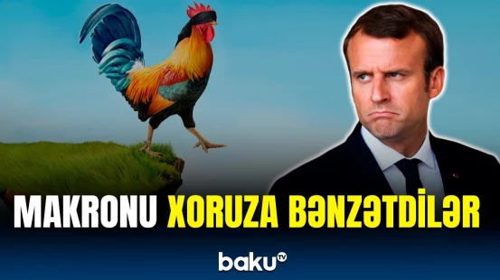 Makron itirə-itirə gedir | Uçuruma addımlayan lideri niyə lağa qoydular?
