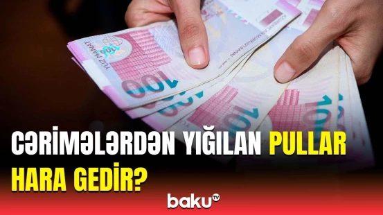 Qurumlardan sadəcə biri cavab verdi | Cərimələr necə xərclənir?